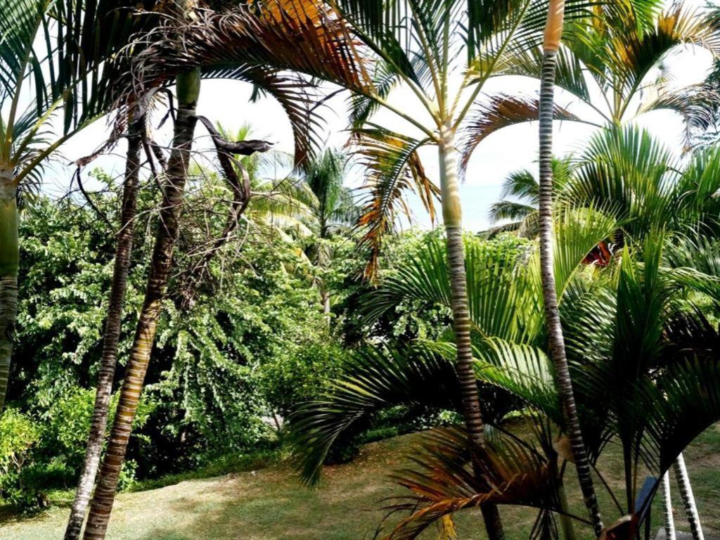 Anchorage Beach Resort Viseisei Exterior photo